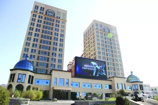 浑南区｜家门口的就业盛宴 精准服务架起企业与求职者“连心桥”